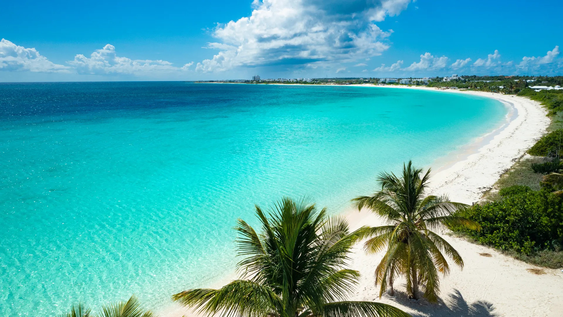 Caribbean Islands – Turquoise beaches, white sand shores and tropical scenery Aerial view of a Caribbean beach with turquoise water, white sand and palm trees