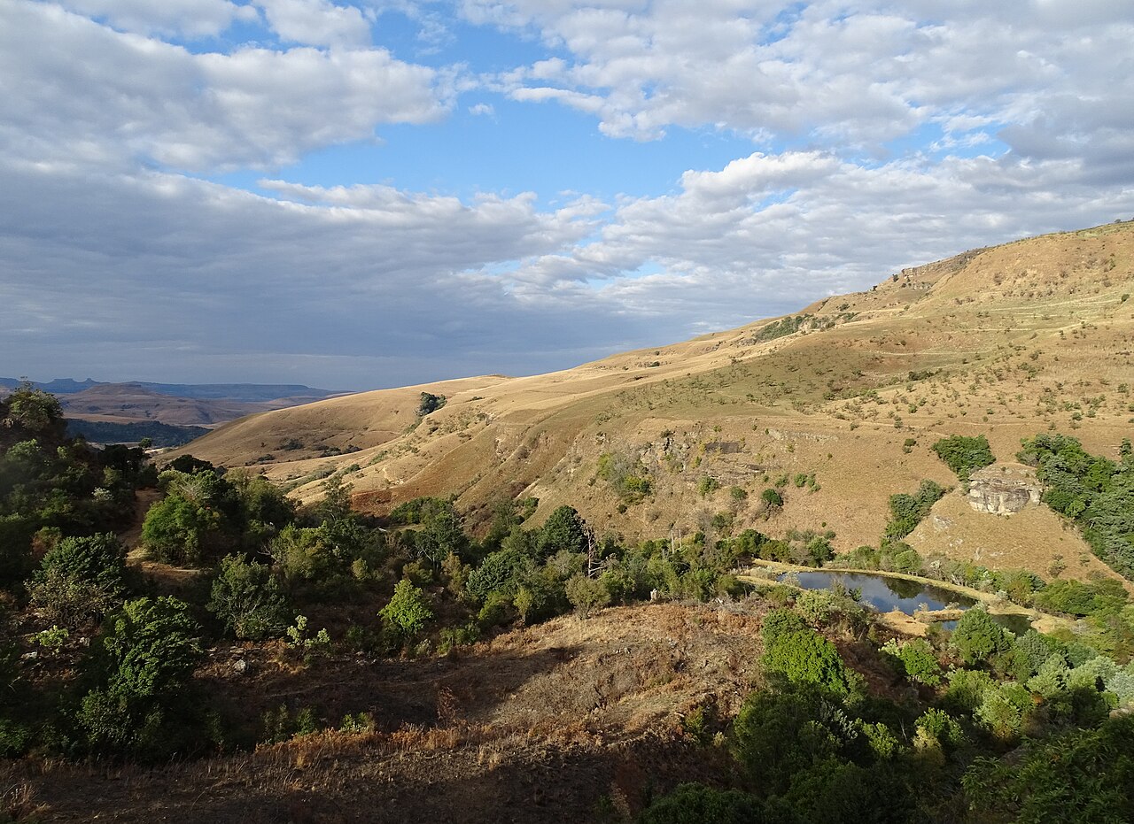 Grounds and pool at The Cavern in the northern Drakensberg