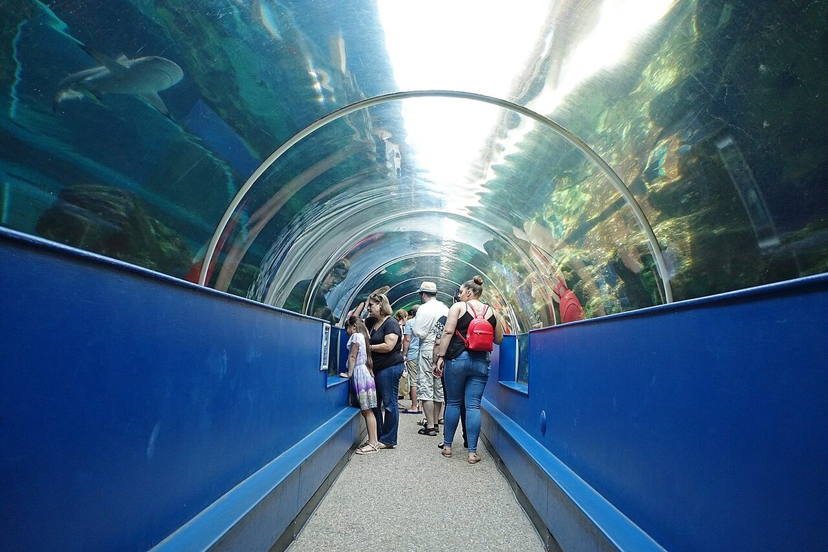 Visitors walking through the aquarium tunnel at Bournemouth Oceanarium Visitors walking through the aquarium tunnel at Bournemouth Oceanarium