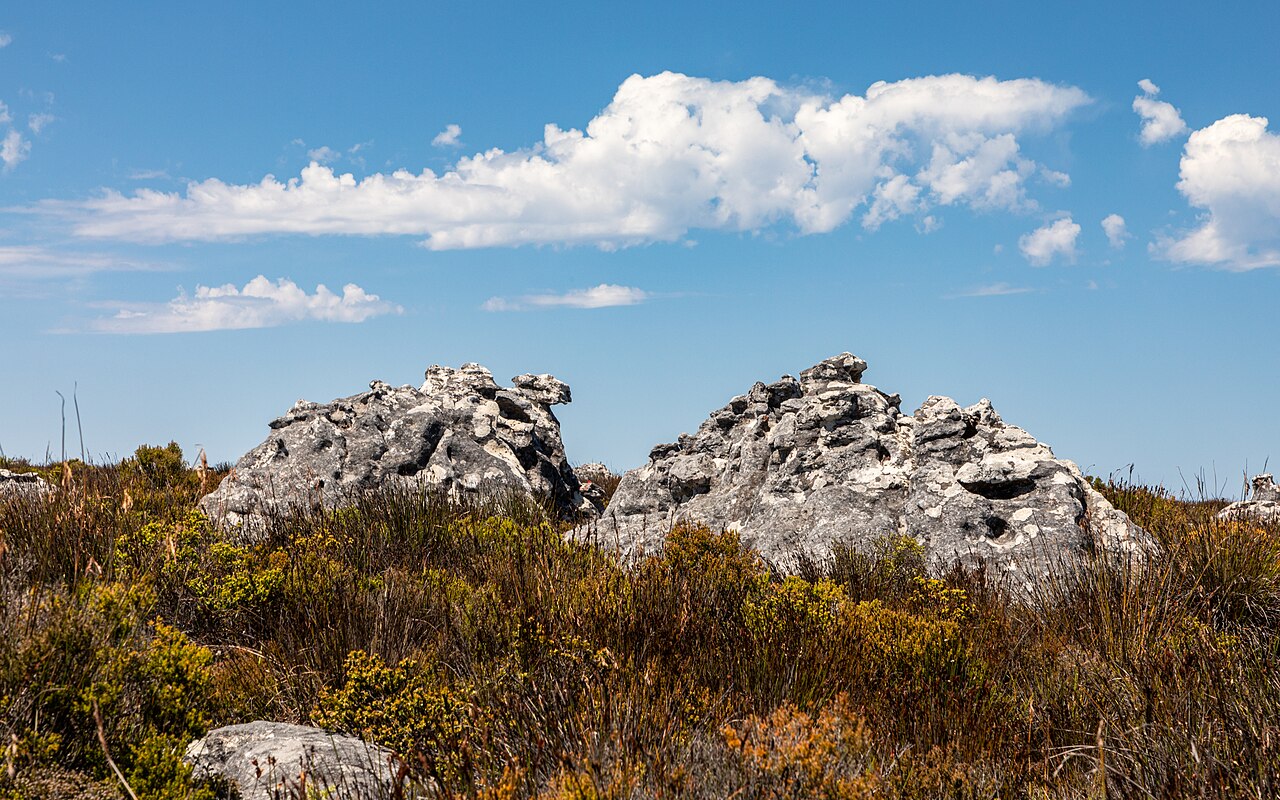View across Table Mountain in Cape Town