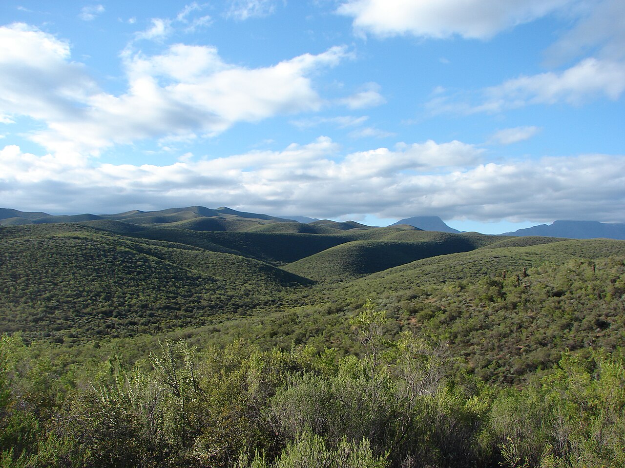 Landscapes along the Garden Route Landscapes along the Garden Route