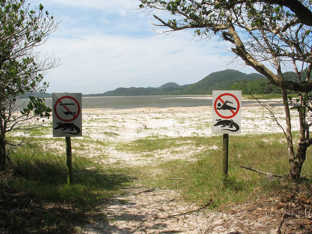 Coastal wetlands in iSimangaliso Wetland Park