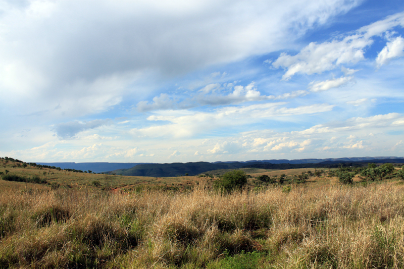 Grassland surrounding Maropeng in South Africa’s Cradle of Humankind