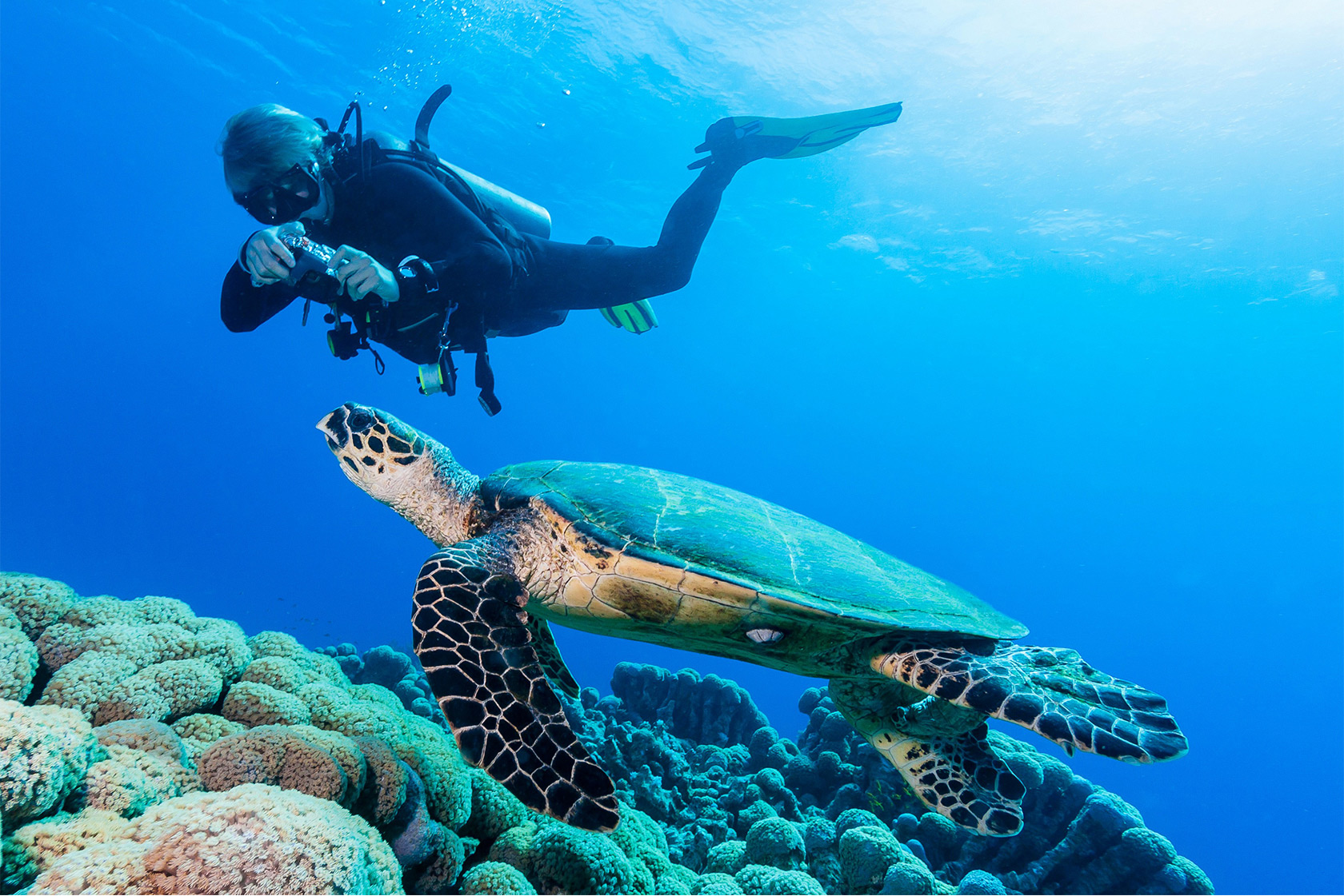 Scuba diver swimming alongside a sea turtle above colorful coral reefs in the Bahamas