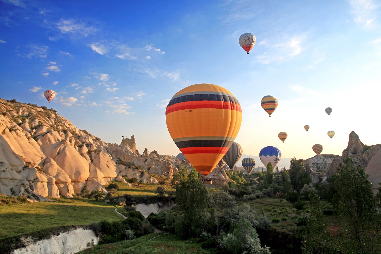 Hot Air Balloon Rides