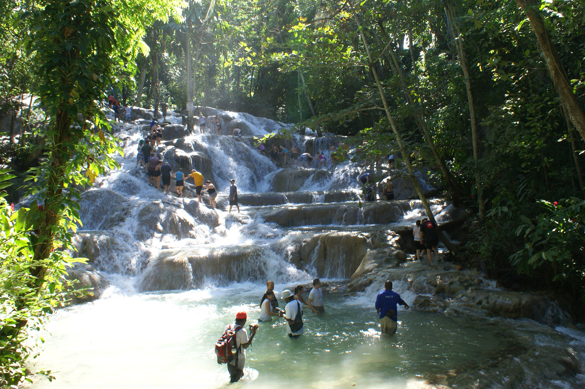 Lush waterfall and natural pool surrounded by tropical forest in Jamaica