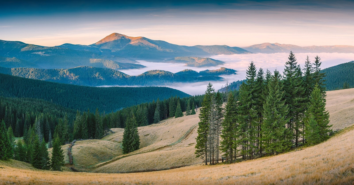 Mountain landscape in the Carpathian Biosphere Reserve