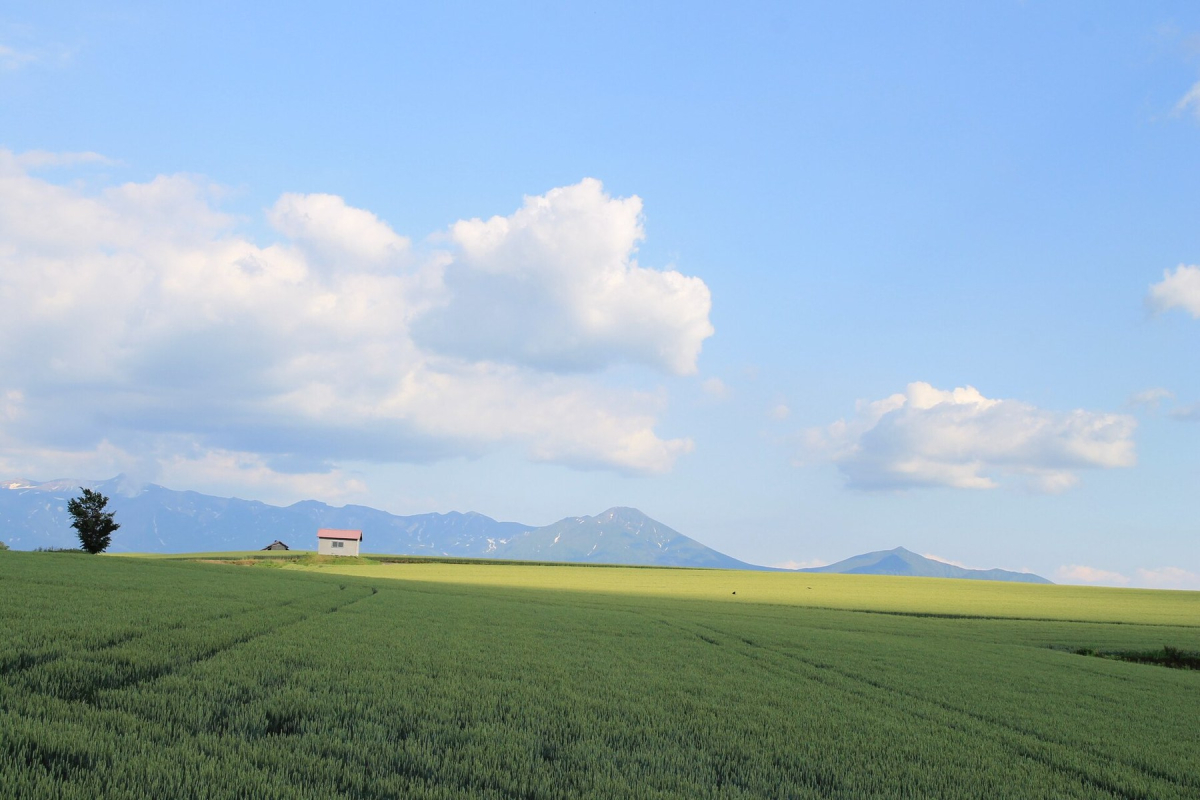 Open countryside and mountains in Hokkaido