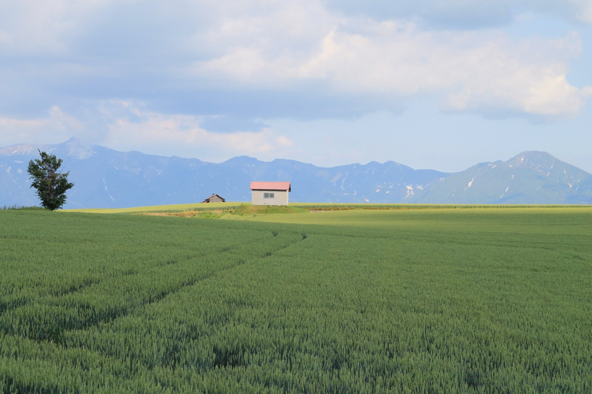 Hokkaido countryside with fields and distant hills Hokkaido countryside with fields and distant hills