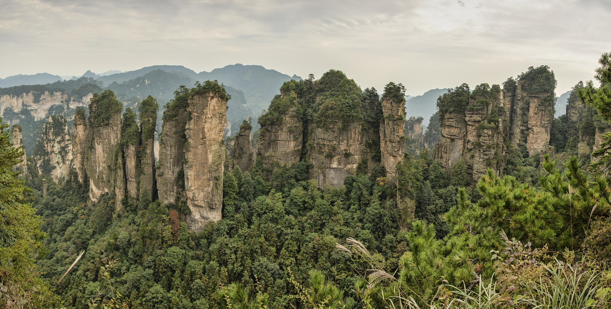 Sandstone pillars rising from forest in Wulingyuan Sandstone pillars rising from forest in Wulingyuan