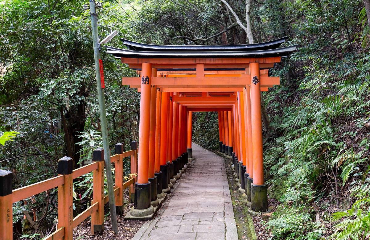 Torii gates at Fushimi Inari Taisha