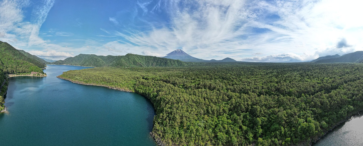 Mount Fuji and the lake landscape