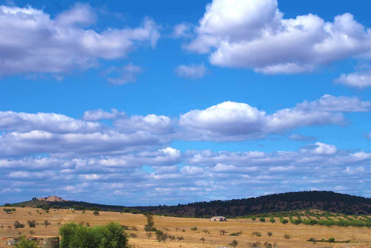 Open rural fields and trees in Alentejo