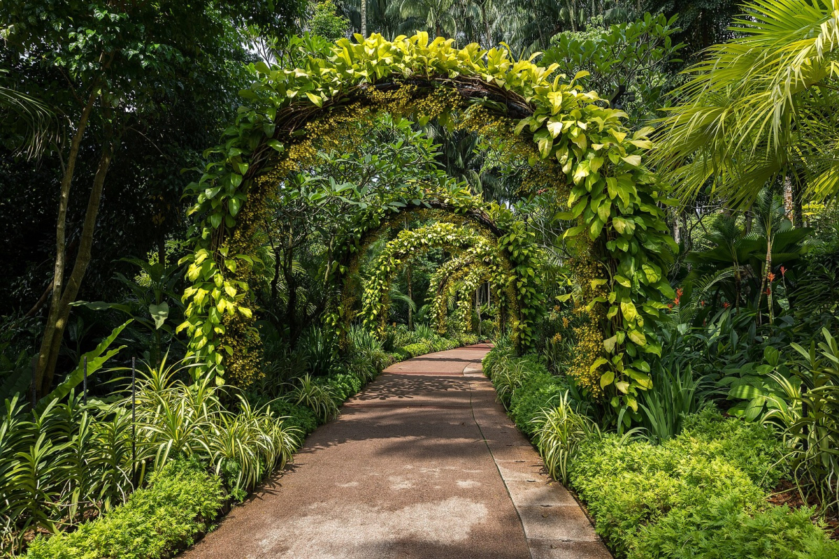 Vegetated arches in the National Orchid Garden, Singapore