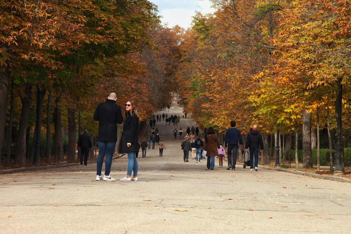 Autumn colour along a Retiro Park path.