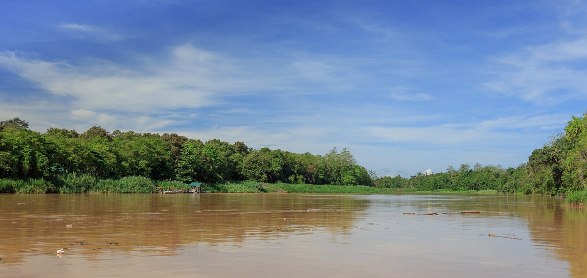 The Kinabatangan River near Bilit, Sabah. The Kinabatangan River near Bilit, Sabah.