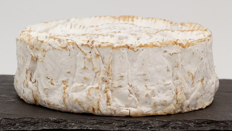 Camembert de Normandie AOP, an example of French cheese to look for at a fromagerie.