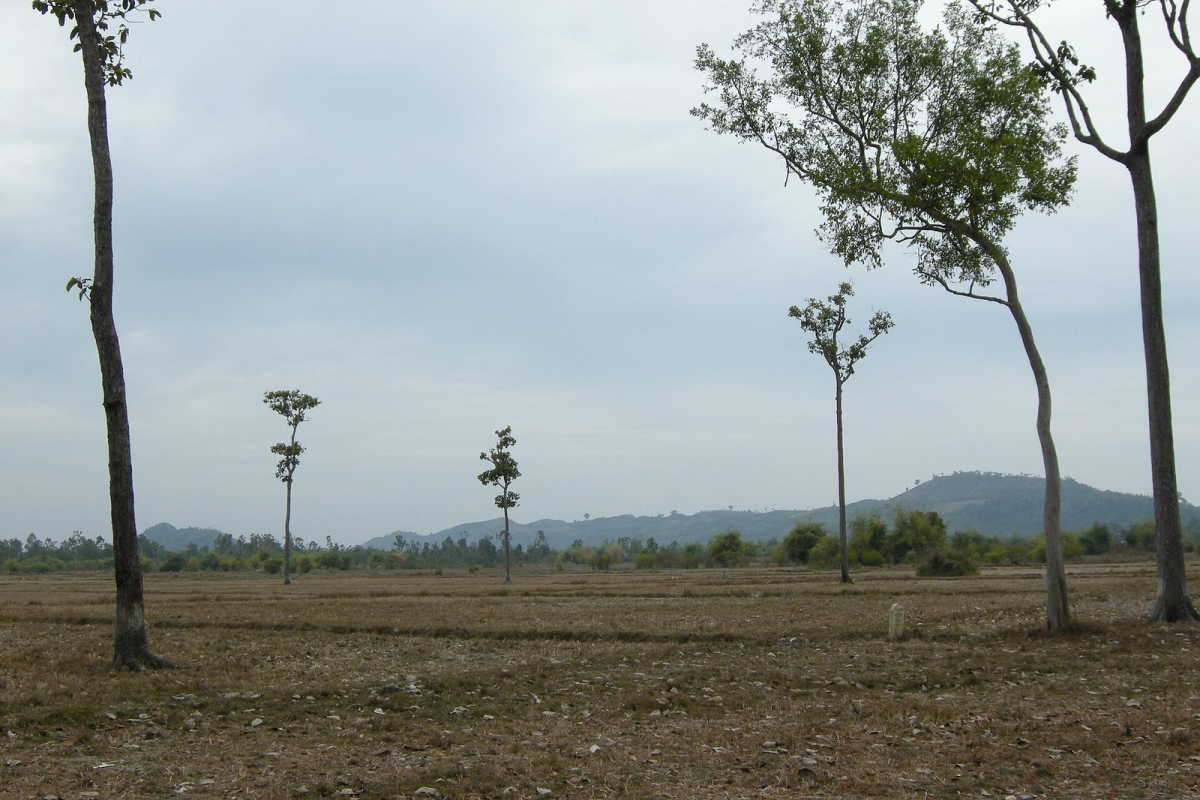 Lowland tropical landscape in Cat Tien National Park