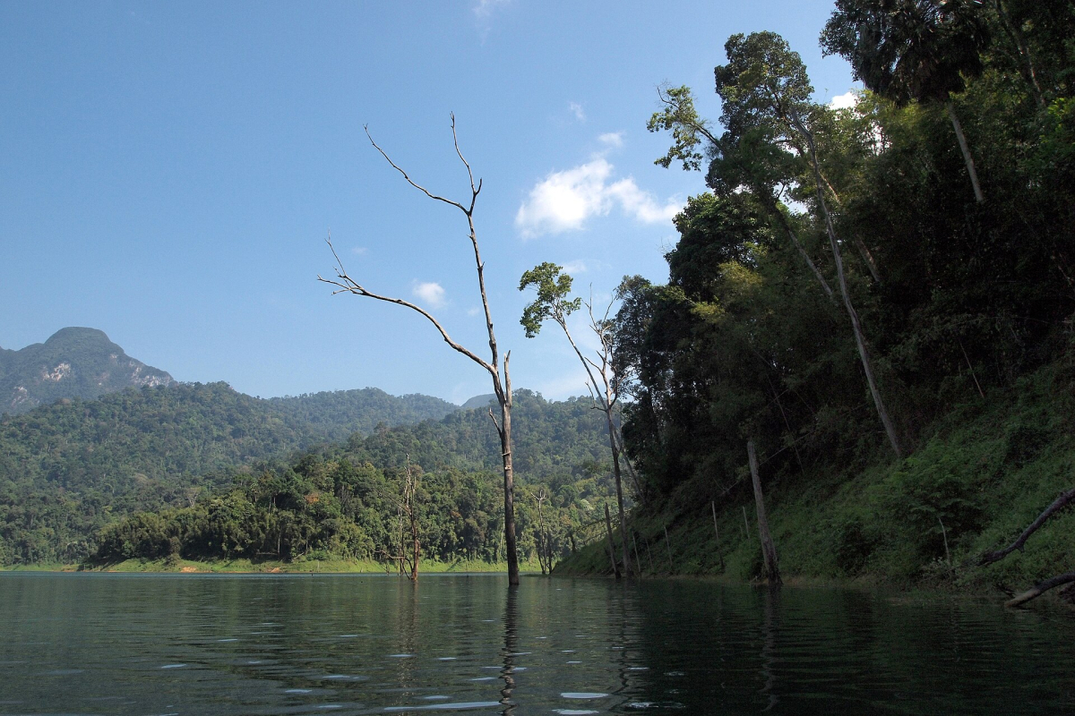 Cheow Lan Lake in Khao Sok National Park. Cheow Lan Lake in Khao Sok National Park.