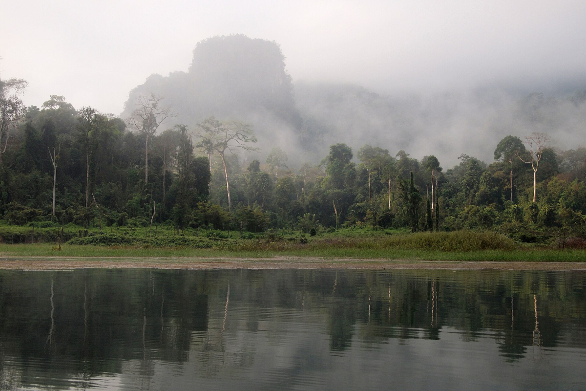 Rainforest and limestone scenery at Cheow Lan Lake. Rainforest and limestone scenery at Cheow Lan Lake.