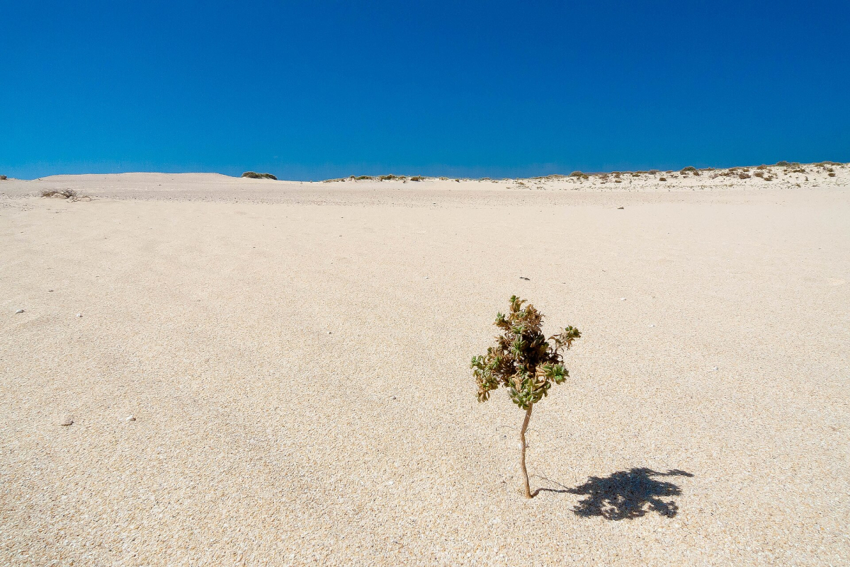 Corralejo Dunes Natural Park on Fuerteventura
