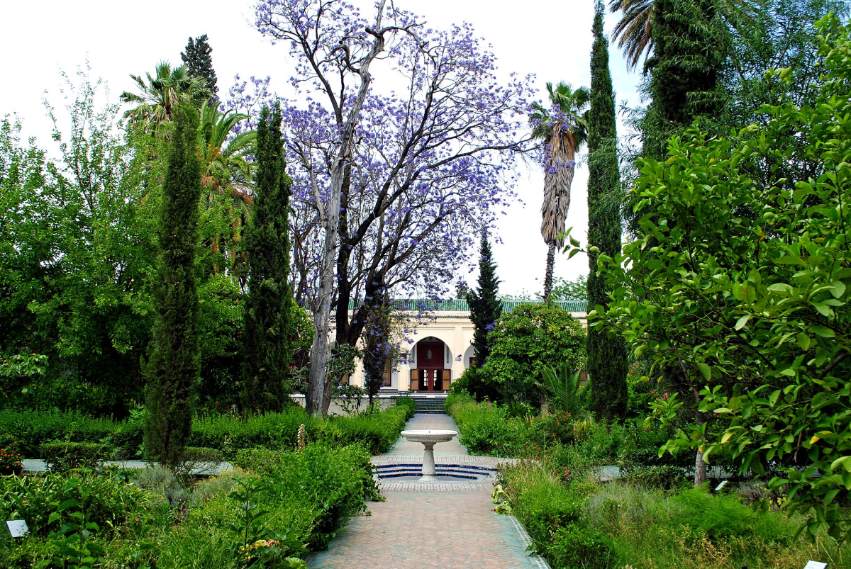The courtyard garden at Dar Batha, Fes, photographed in 2012, before the museum reopened in 2025 The courtyard garden at Dar Batha, Fes, photographed in 2012, before the museum reopened in 2025