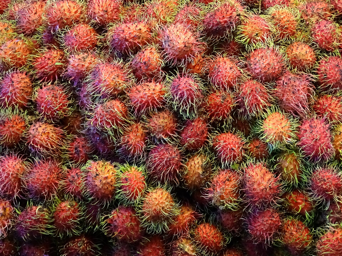 Rambutans at Warorot Market in Chiang Mai. Product photograph, not a current price list. Rambutans at Warorot Market in Chiang Mai