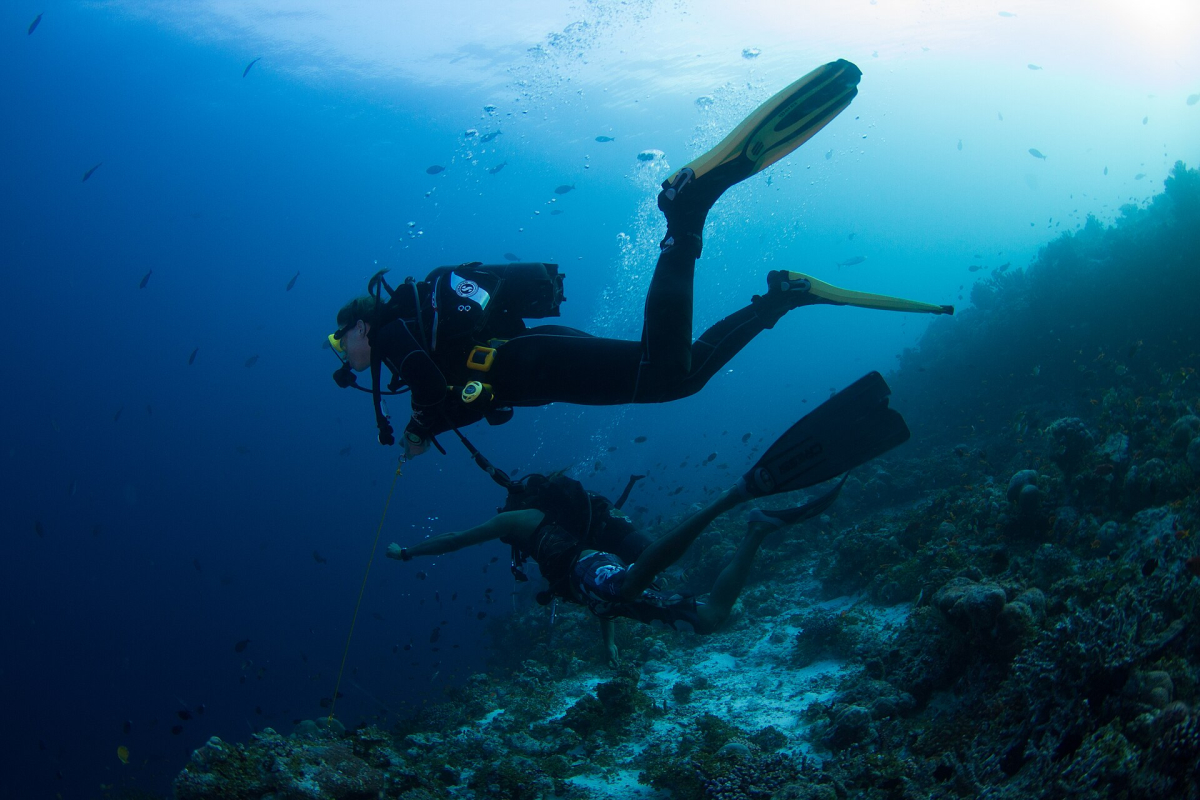 Divers underwater in the Maldives Divers underwater in the Maldives