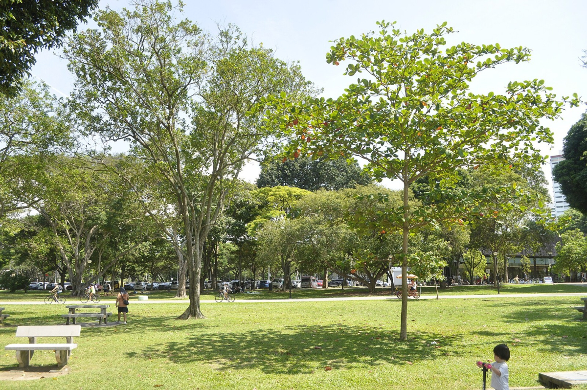 East Coast Park in Singapore; a coastal outing is a separate journey from a central city walk