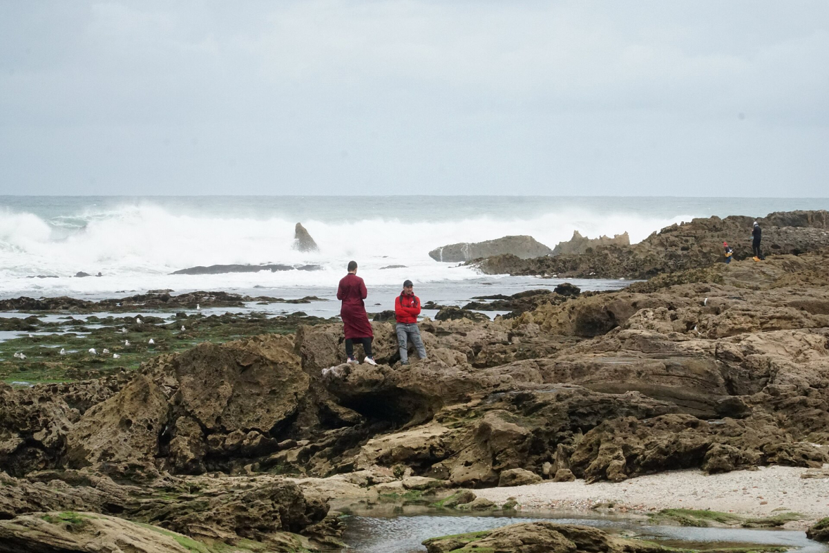 A rocky stretch of the Atlantic shore at Essaouira