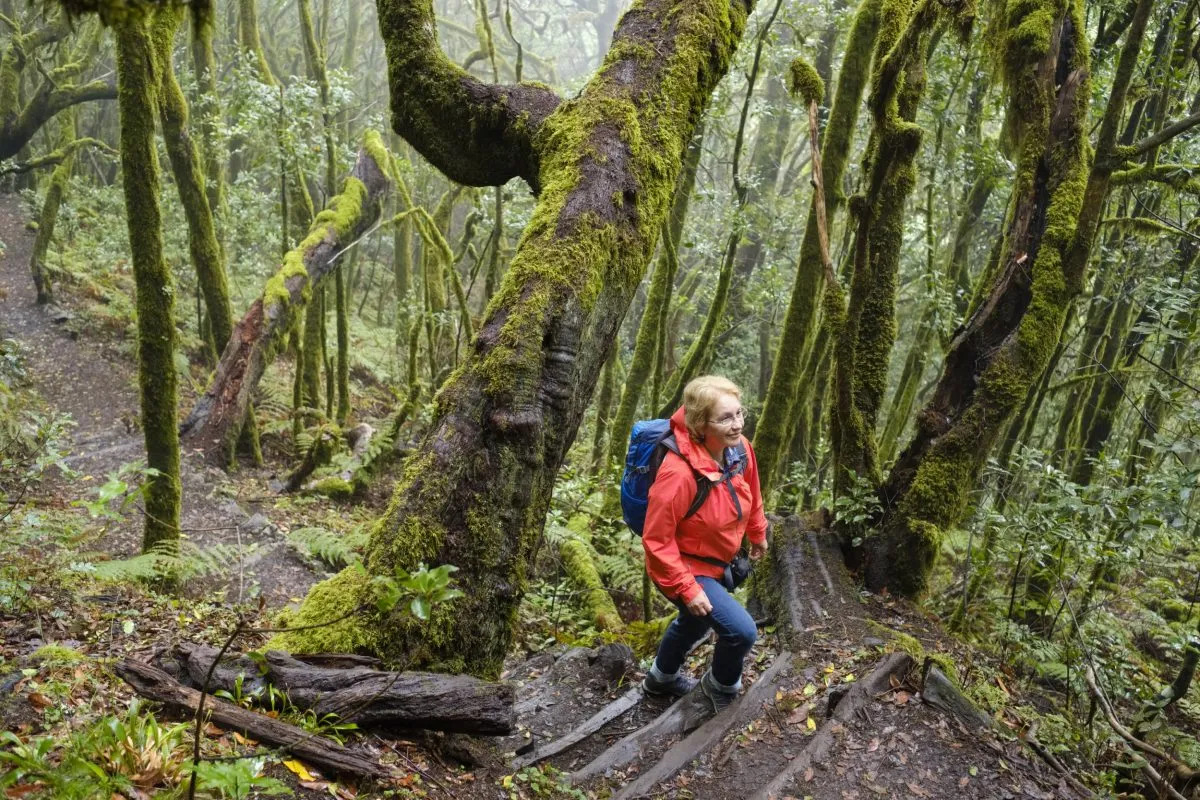 Hiking trail in Garajonay National Park, La Gomera,