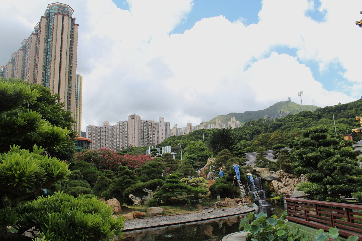 Architecture and planting at Nan Lian Garden.