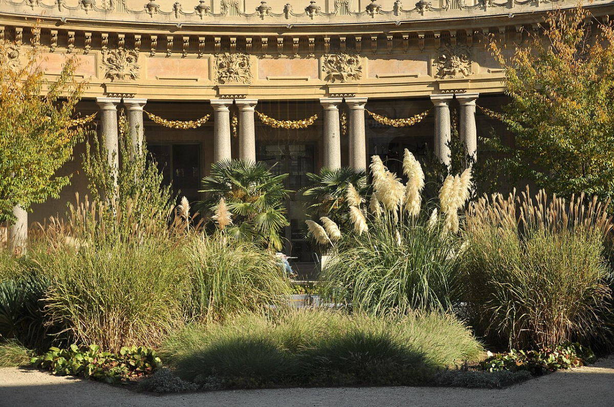 The planted courtyard garden of the Petit Palais in Paris.
