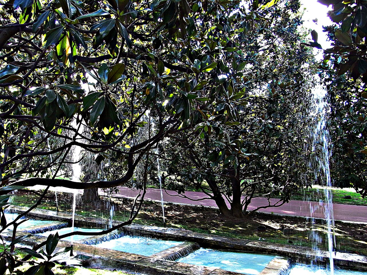 Water stairway and leafy trees in Jardins de Joan Maragall on Montjuïc