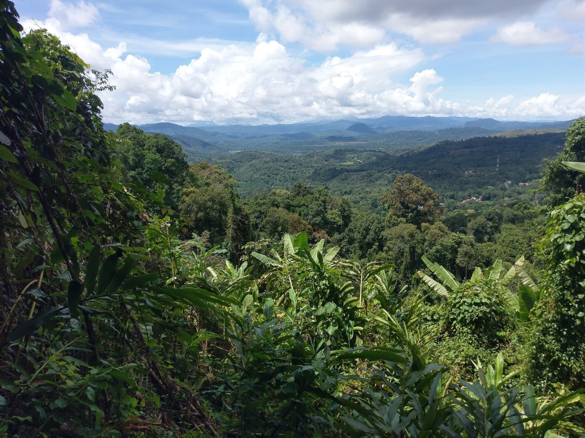 A view from the Kinabalu Park area near Langanan Waterfalls. This is not the summit route. A view from the Kinabalu Park area near Langanan Waterfalls. This is not the summit route.