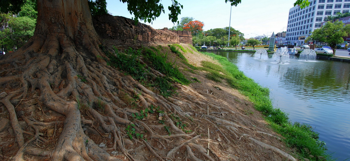 Ku Huang in Chiang Mai