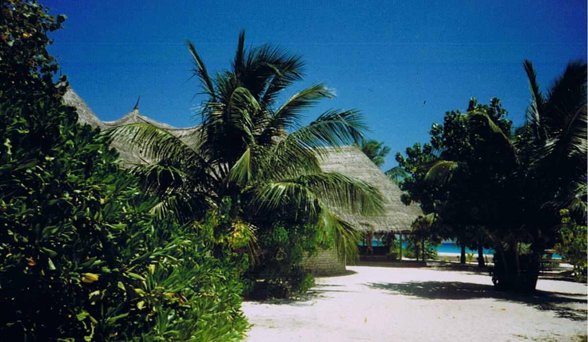 The beachfront promenade on Kuredu The beachfront promenade on Kuredu