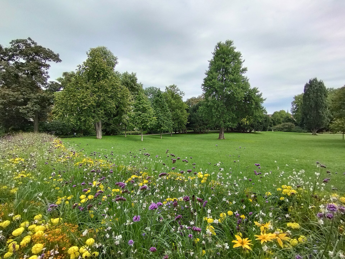 Green space in Prague