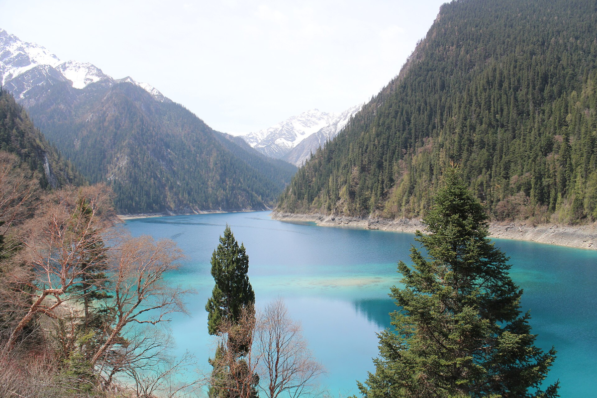 Clear lake and forested slopes in Jiuzhaigou Clear lake and forested slopes in Jiuzhaigou