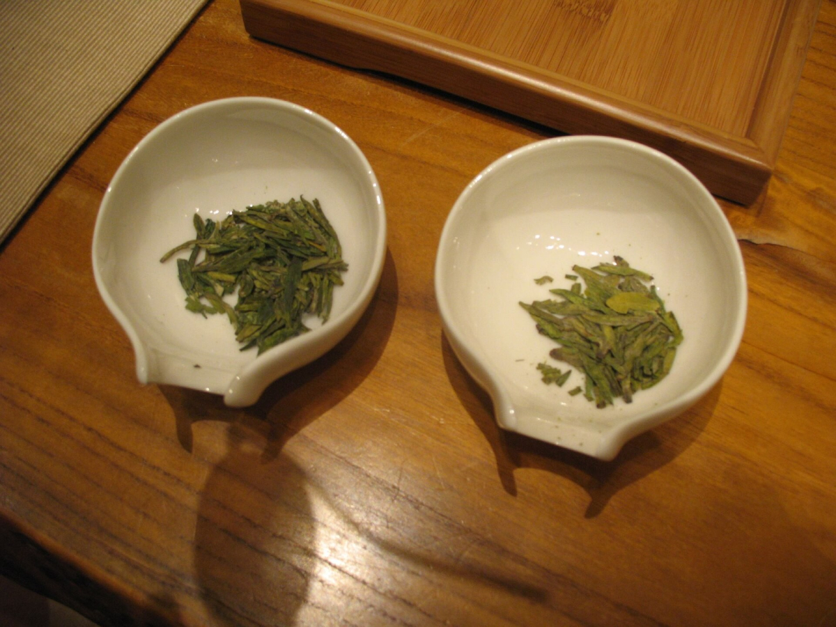 Two white tasting dishes containing different Longjing tea leaves