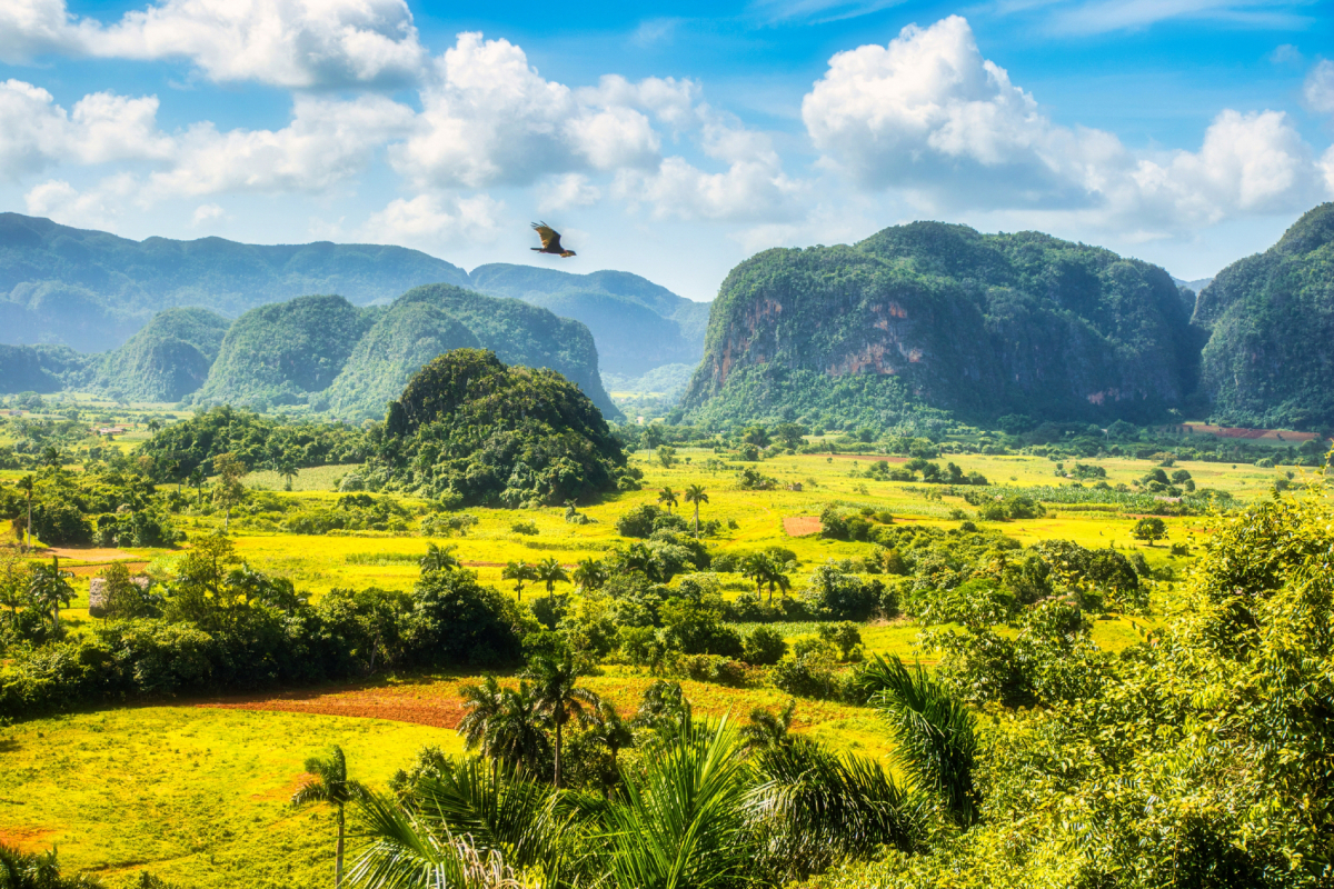 Lush green Viñales Valley after summer rain