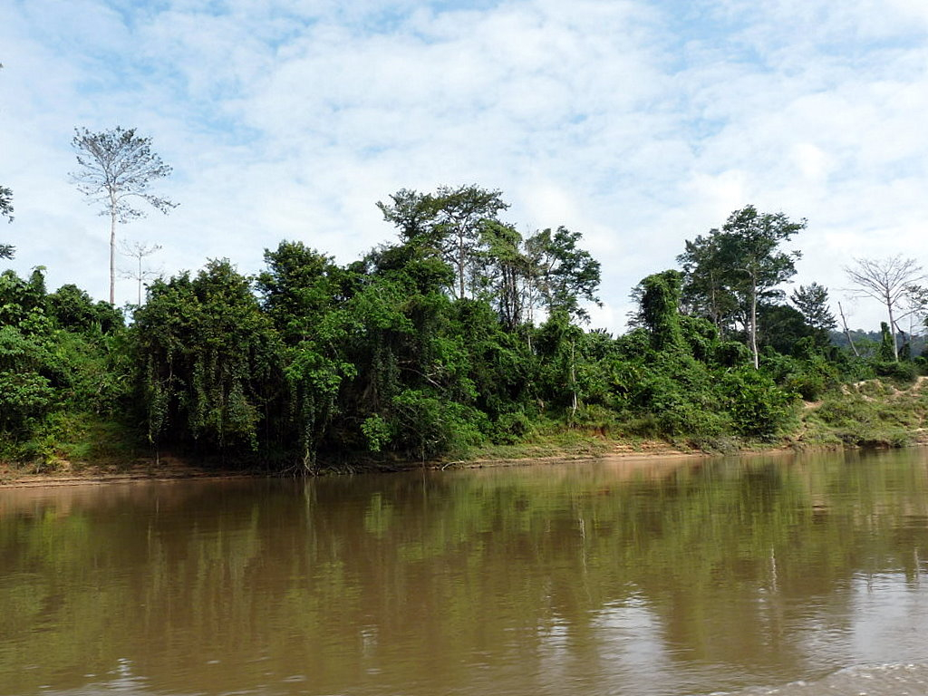 Forest and river scenery at Taman Negara, photographed in 2011; routes and facilities require current checks. Forest and river scenery at Taman Negara, photographed in 2011; routes and facilities require current checks.