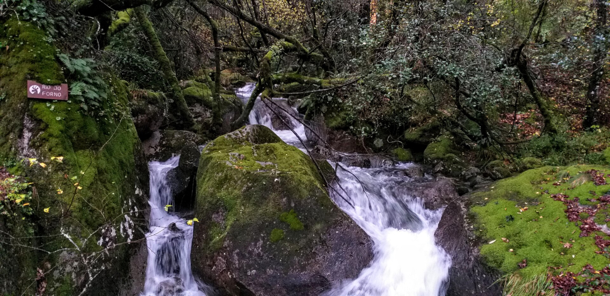 Waterfall and wooded slopes in Peneda-Gerês