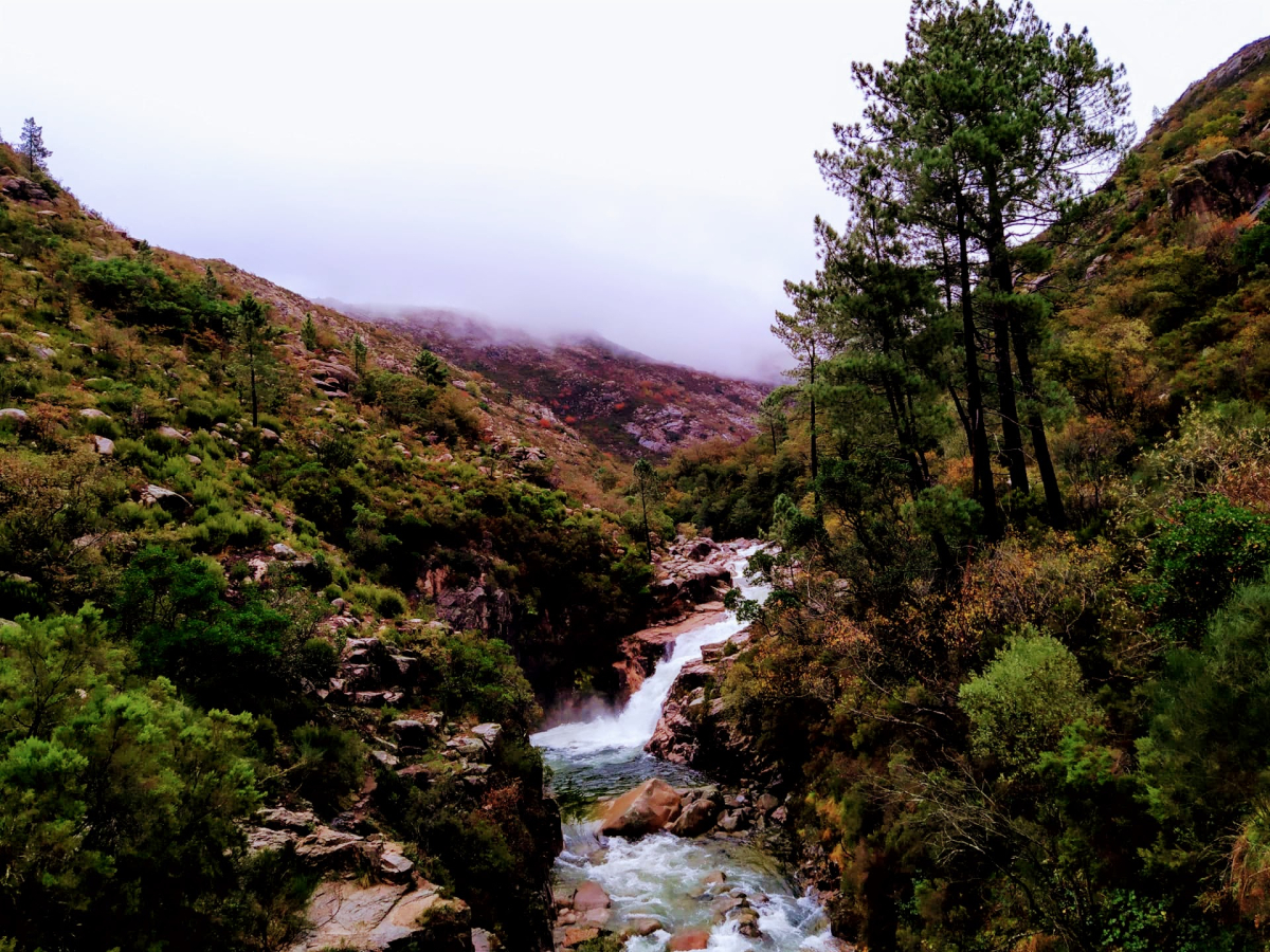 Rocky river valley and woodland in Peneda-Gerês National Park