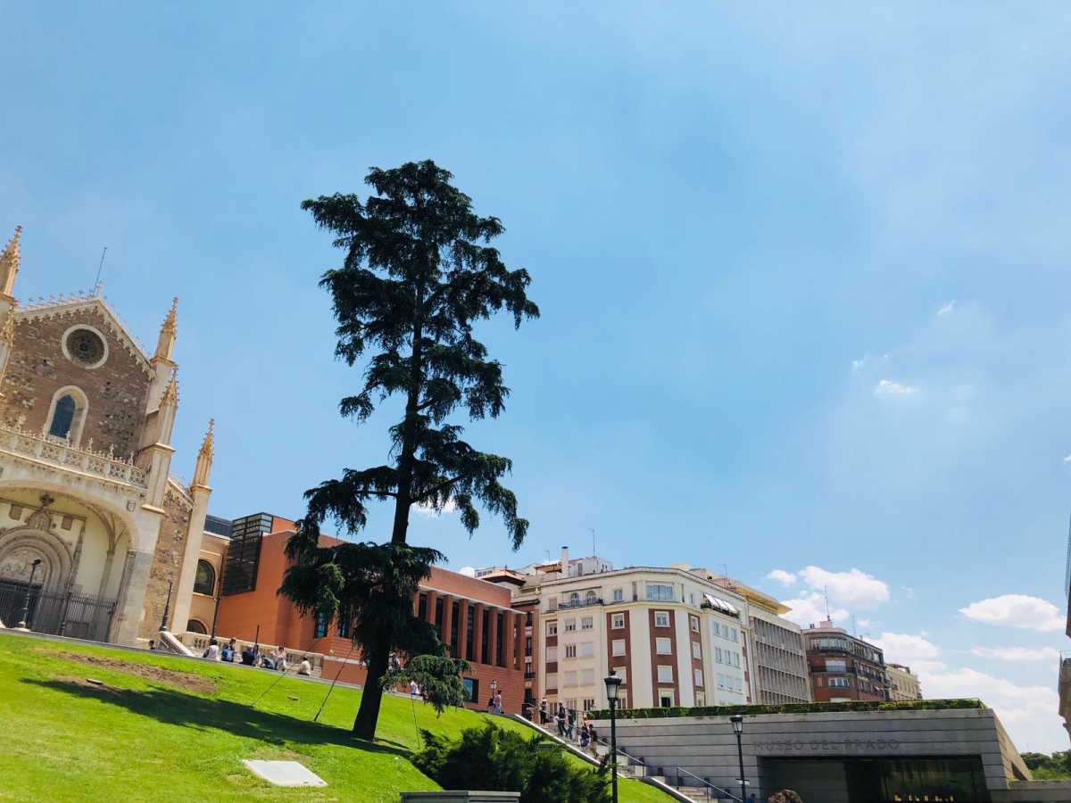 The Prado museum district; choose a focused gallery visit. The Prado museum district; choose a focused gallery visit.