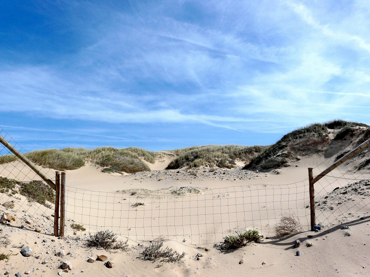 Marked access path through dunes near Guincho Marked access path through dunes near Guincho