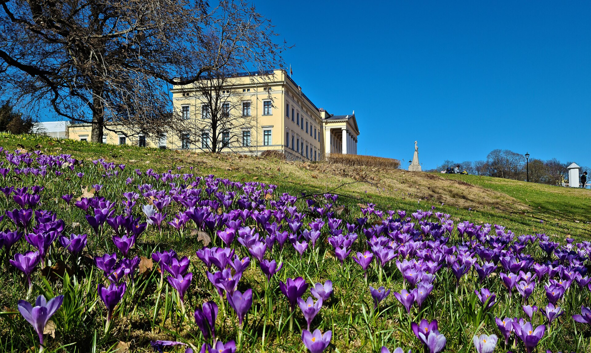 The Royal Palace and spring flowers in its park setting.