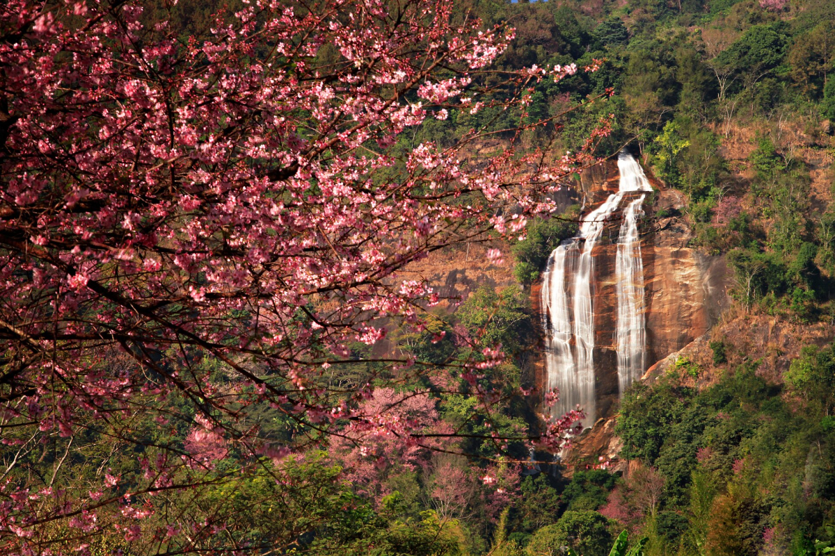 Siriphum Waterfall in Doi Inthanon National Park. Siriphum Waterfall in Doi Inthanon National Park.