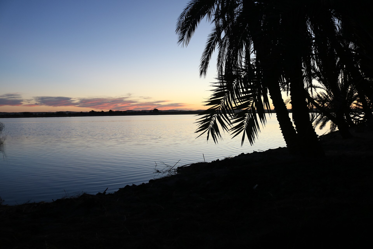 Palm-fringed Aftans Lake at sunset in Siwa Oasis Palm-fringed Aftans Lake at sunset in Siwa Oasis
