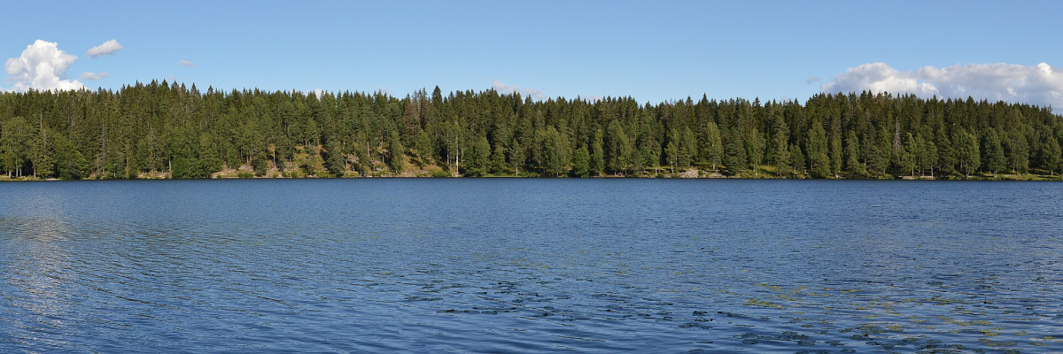 Sognsvann and its wooded shore. Sognsvann and its wooded shore.